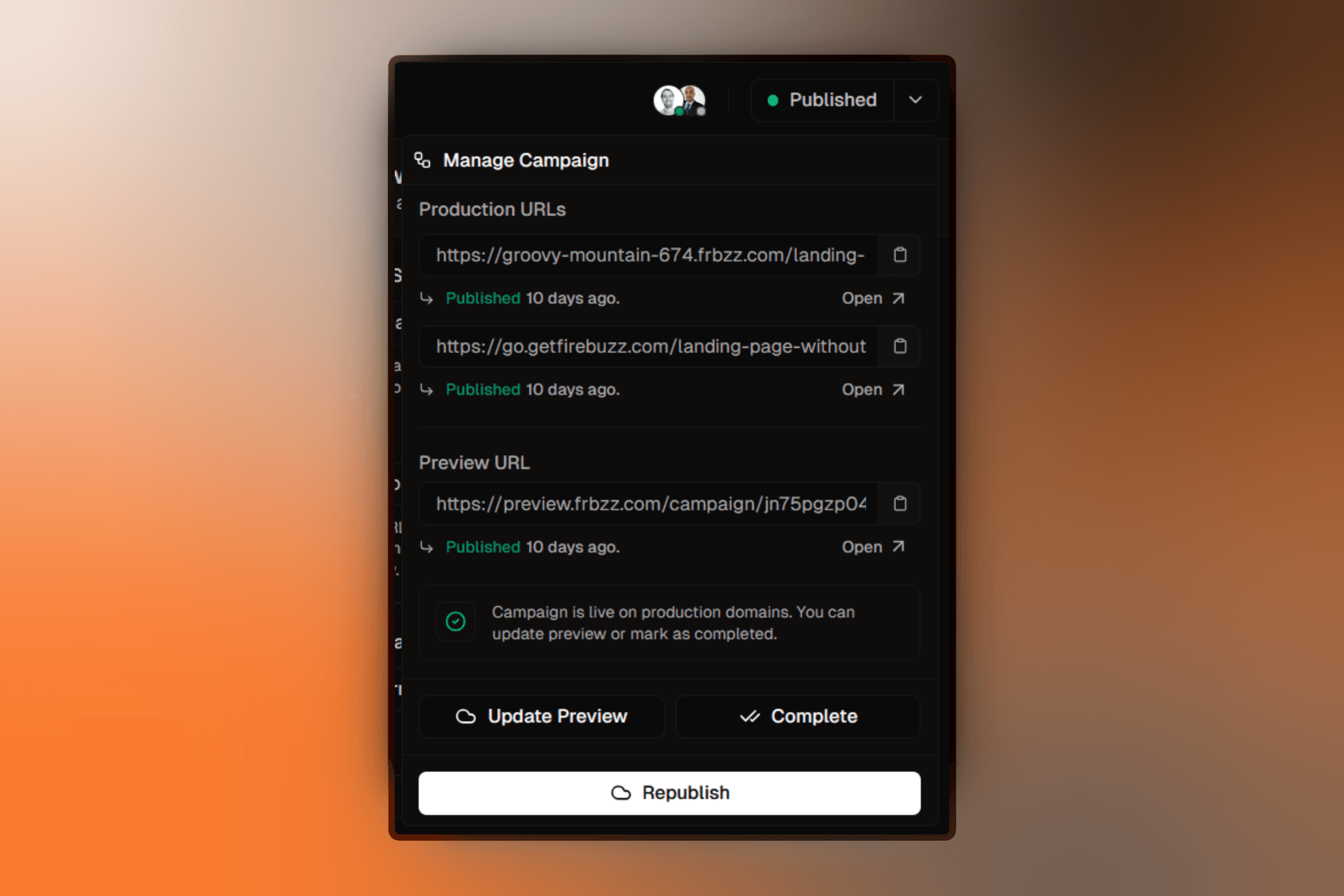 Campaign published successfully showing the live URL and published status badge