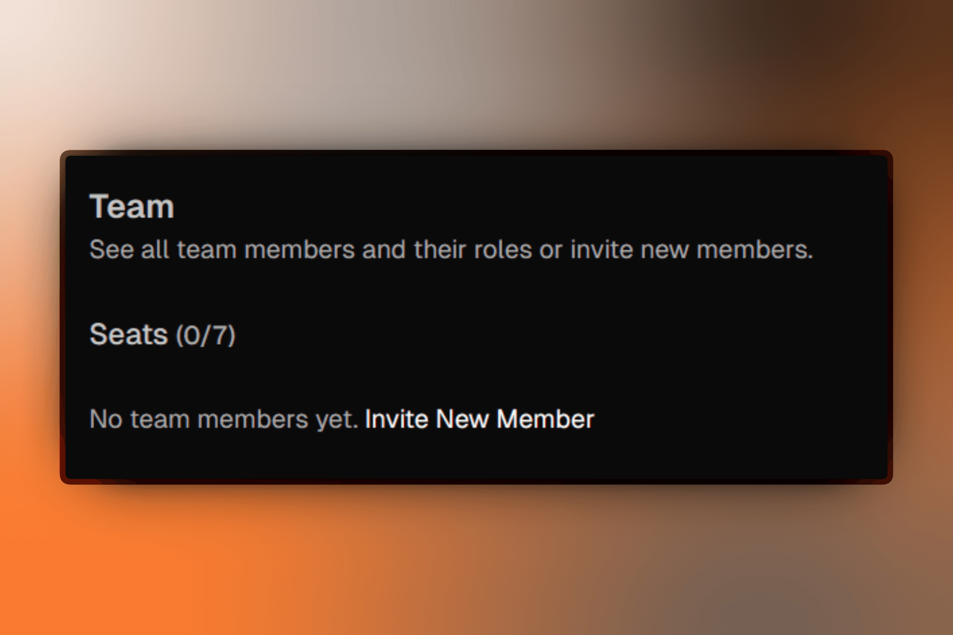 Team settings page showing seat availability at the top